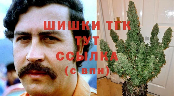 сатива Михайловск