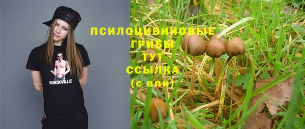 apvp Михайлов