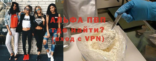 СК Алексин