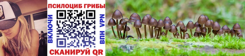 Галлюциногенные грибы Psilocybe  ОМГ ОМГ ссылка  Минусинск 